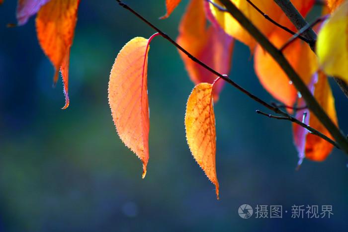 久久无码喷吹高潮播放不卡,亚洲乱理伦片在线观看中字,亚洲福利二区