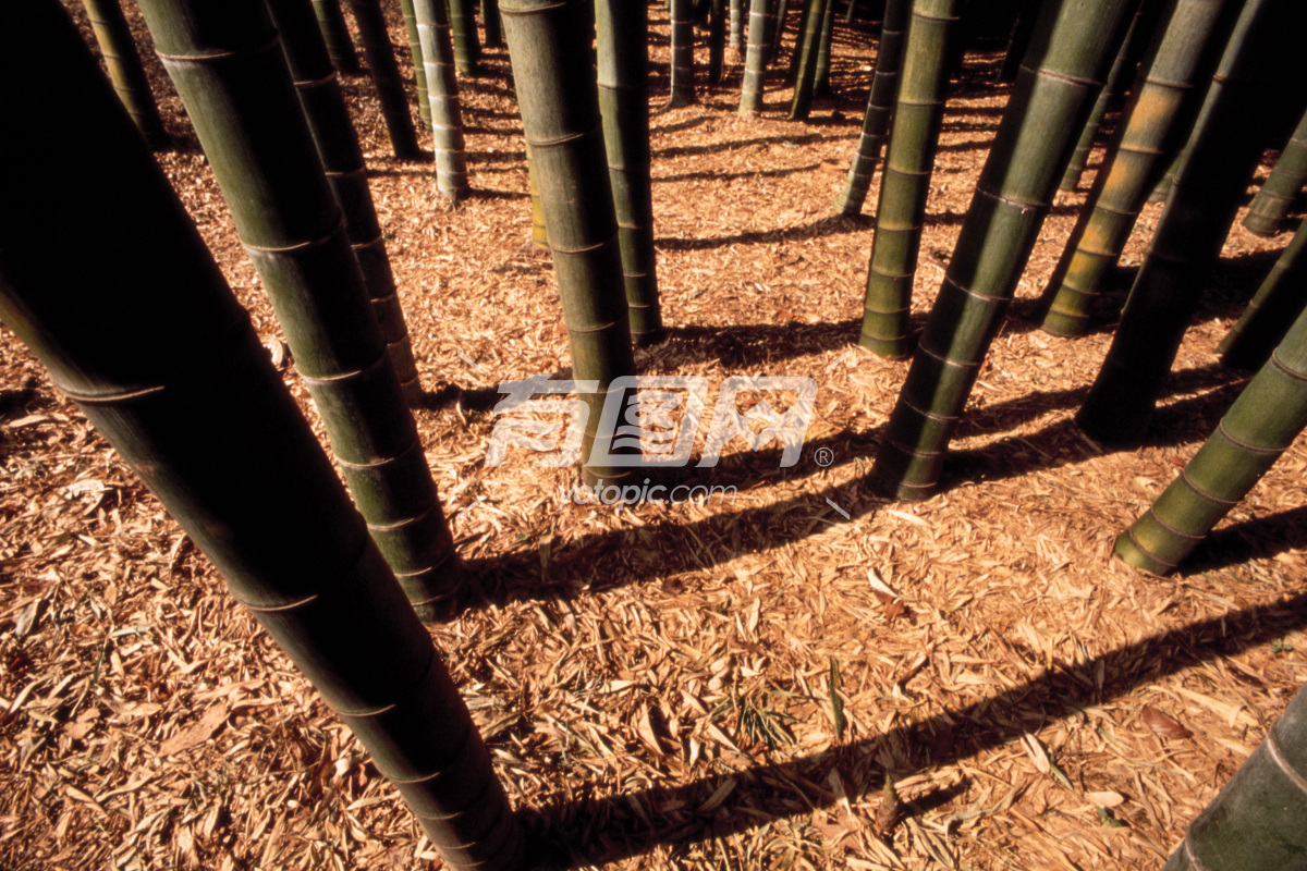 婷婷五月综合激情,中国一级特黄特色  毛片,中文字幕一区二区三区日韩