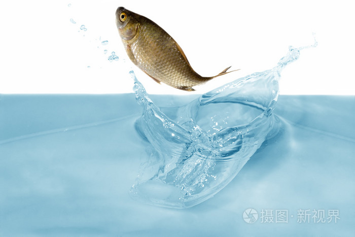 亚洲欧美日韩综合在线观看,宝贝你夹得我都湿透啦bl,一级黄片精品糸列